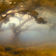 Illustration for article titled These Ethereal Landscape Photos Were Faked in a Cloud Tank